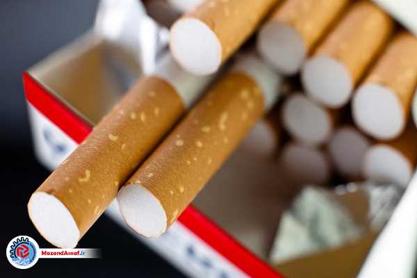 کشف  ۲۴۰۰ نخ سیگار خارجی قاچاق در آمل