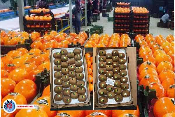 حدود ۵۰۰ تن سیب و پرتقال شب عید مازندران تامین شد