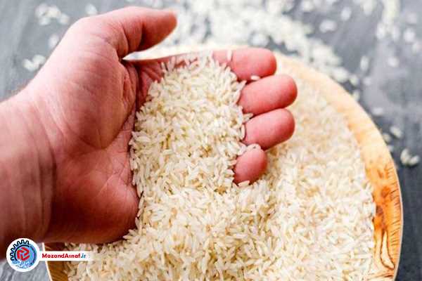 وجود مافیای برنج در مازندارن را بر می‌چینیم/لزوم به روزرسانی اتحادیه‌های برنج برای حضور پررنگ در بازار دیجیتال