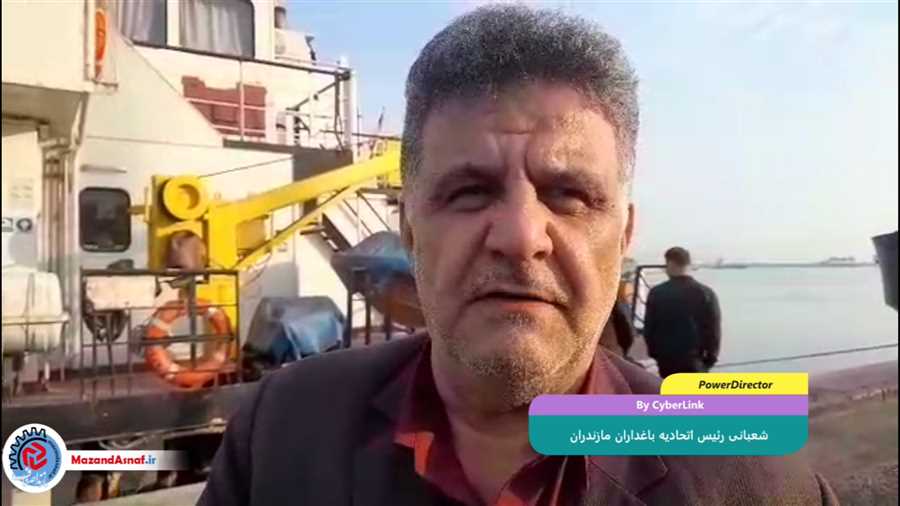 فیلم| آغاز صادرات دریایی مرکبات مازندران به روسیه