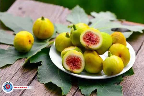 گلوگاه، سرزمین انجیر و نغمه‌های شکرانه