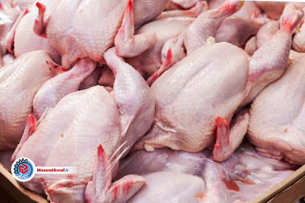 یک‌هزار تُن گوشت مرغ در مازندران توزیع شد