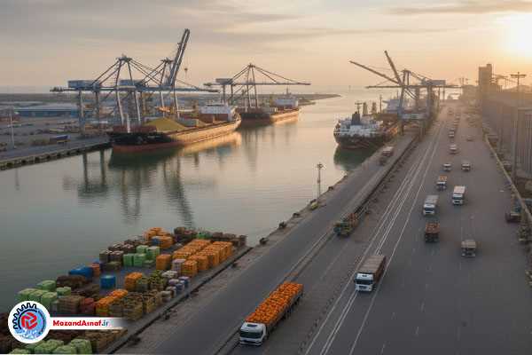 انباشت ۴۵۰ هزار تن نهاده دامی در بندر امیرآباد / پهلوگیری روزانه ۵ کشتی برای تأمین نیاز کشور