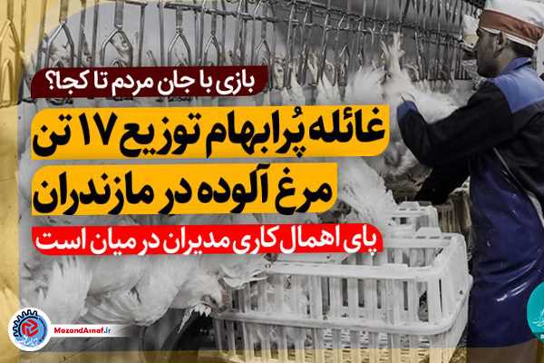 غائله پُرابهام توزیع 17 تن مرغ آلوده در مازندران/ پای اهمال‌کاری مدیران در میان است