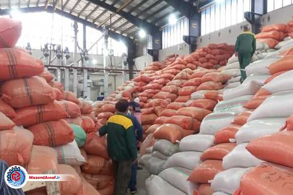 دولت زیربنای صادرات را برای برنج‌کاران و باغداران مازندران فراهم کند