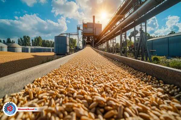 سهمیه گندم مازندران برای ماه مبارک رمضان تأمین شد