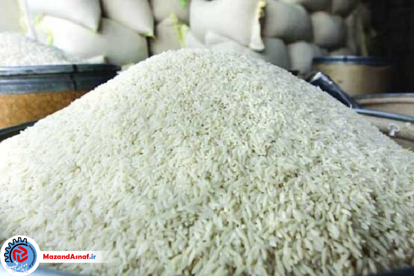 آنسوی واردات برنج| کشاورز نالان و دلال خندان