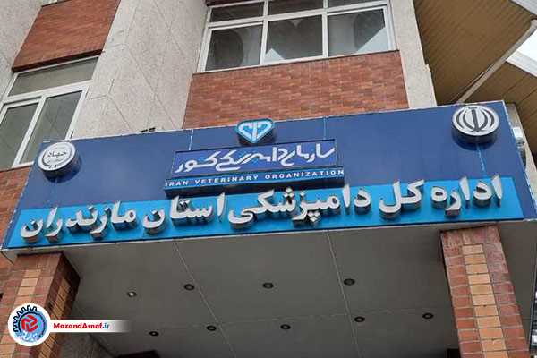 امکان ترخیص مستقیم فرآورده‌های خام دامی در مازندران