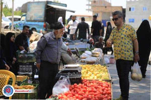 پنجشنبه بازار نکا به‌روایت تصویر