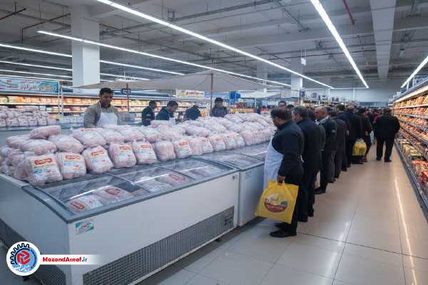 عرضه نامحدود مرغ منجمد با قیمت مصوب در سراسر مازندران