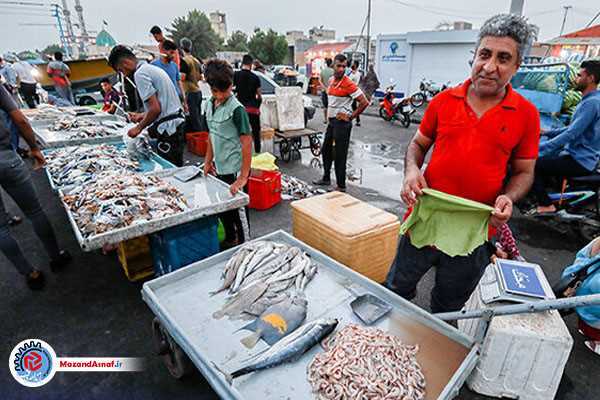 بازار ساحلی بابلسر، نان ۳۰ درصد جمعیت شهر را تامین می‌کند