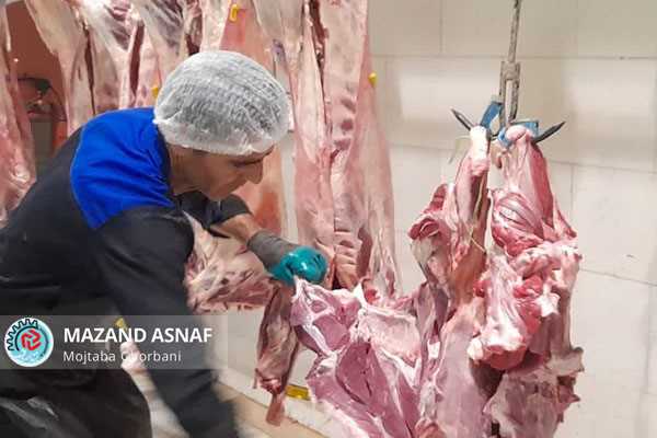 ۱۰۰۰ کیلوگرم فرآورده خام دامی قاچاق در مازندران ضبط شد