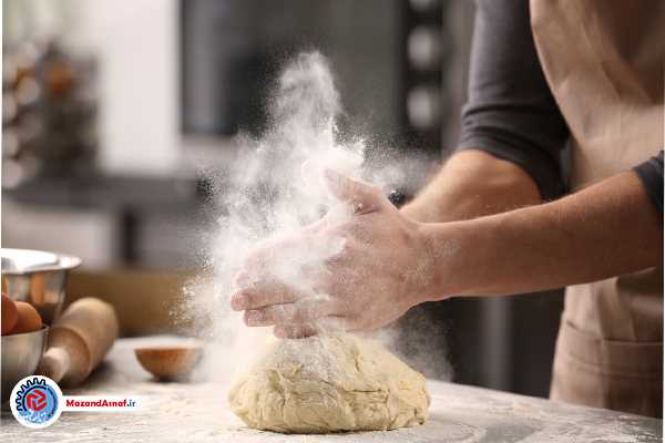 تحول عمیق در صنعت نان از مسیر آزادسازی نرخ آرد می گذرد/ مهارت آموزی؛ راهکار کاهش ضایعات نان