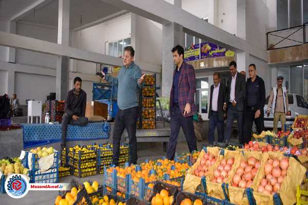 بازدید سرزده رئیس اتاق اصناف مرکز استان از میدان بار ساری
