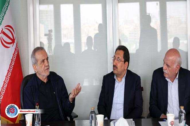 مدیریت بازار باید به شبکه صنفی و بازاریان واگذار شود/ آغاز اجرای الگوی جدید توزیع کالا با مشارکت اصناف