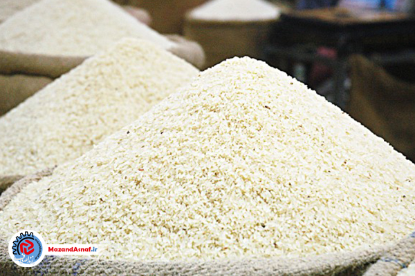 آغاز خرید توافقی برنج در مازندران/شالیکاران هیچ اجبار و الزامی برای فروش محصول ندارند