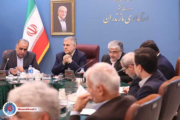  پیگیری‌ها برای تعادل قیمت مرغ در مازندران ادامه دارد/ عرضه ۴۰ درصد مرغ با قیمت مصوب در فروشگاه‌ها