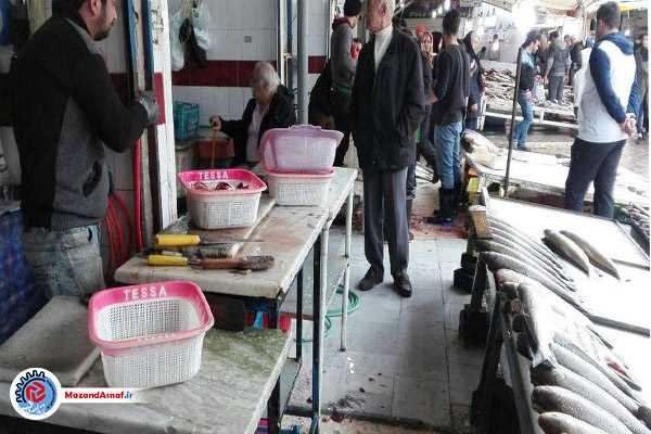  دوره‌گردها به بازار ماهی در نوشهر لطمه زدند/دستفروشان 20 برابر مغازه‌ها ماهی می‌فروشند!