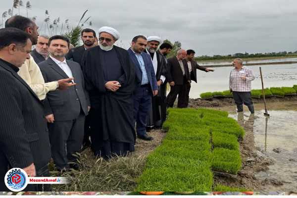  تقویت اتحادیه‌های کشاورزی دست واسطه‌ها را کوتاه می‌کند